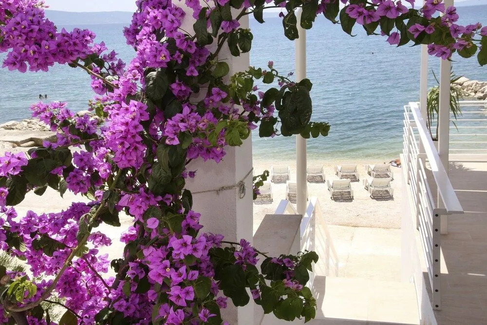 Beach Rooms Split