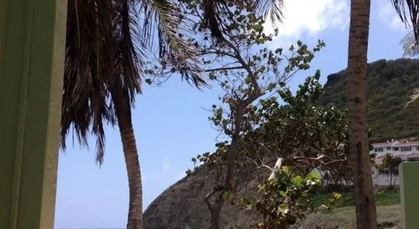 Coconut Apartment