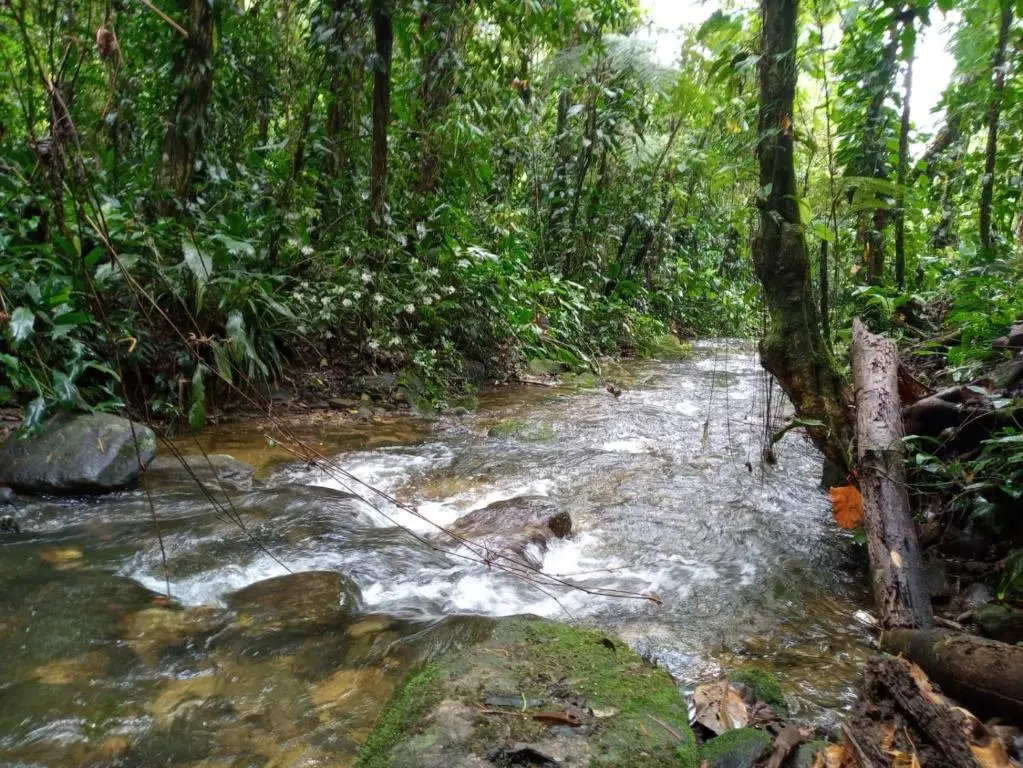 Serra e Mar