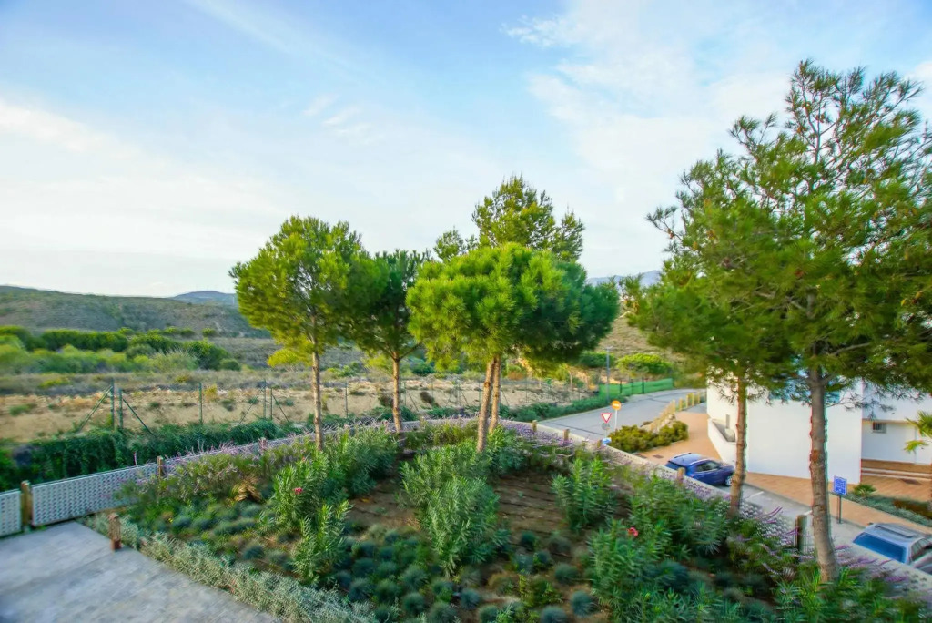 Small Oasis