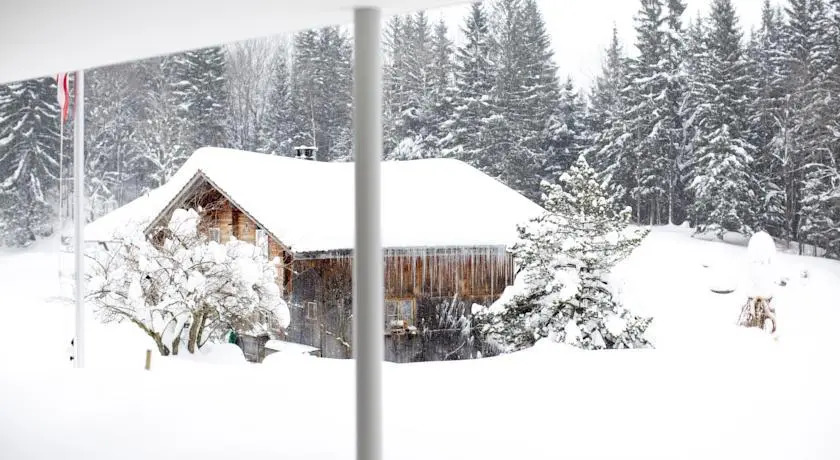 Chalet Bergoase