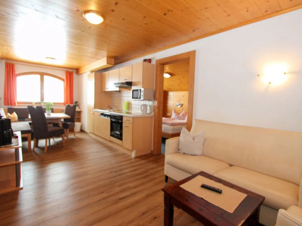 Apartment Alpin Zell am Ziller 15591
