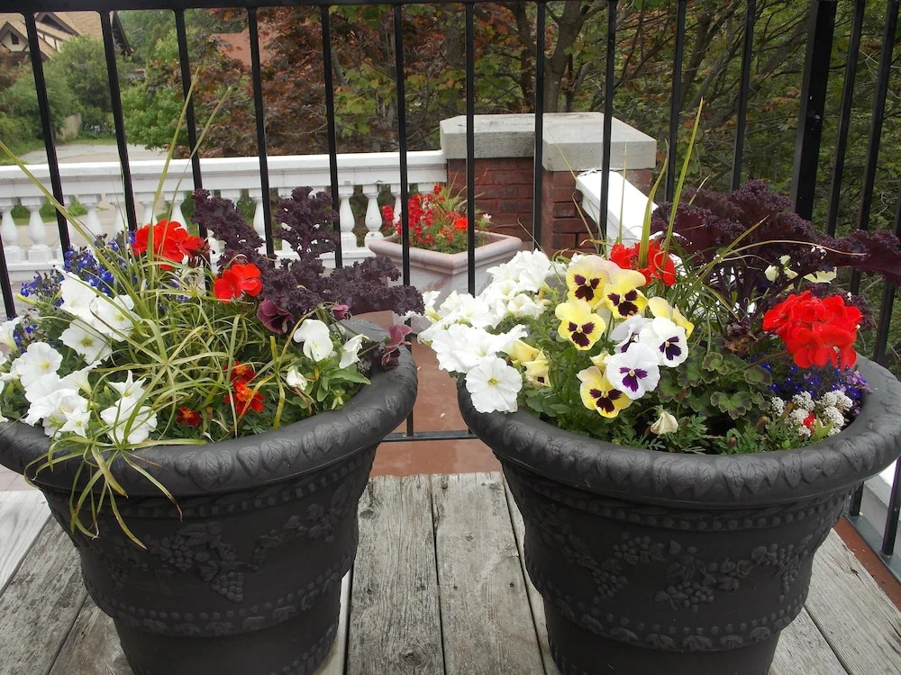 The Firelight Inn on Oregon Creek Bed and Breakfast