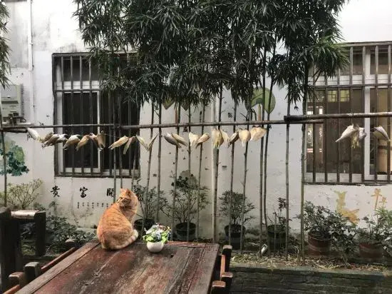 Gujingfang homestay in Shanghai