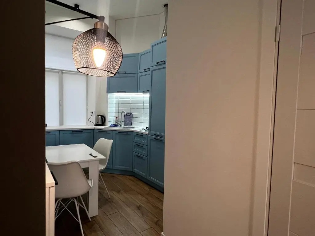 Apartment Lesya Kurbasa