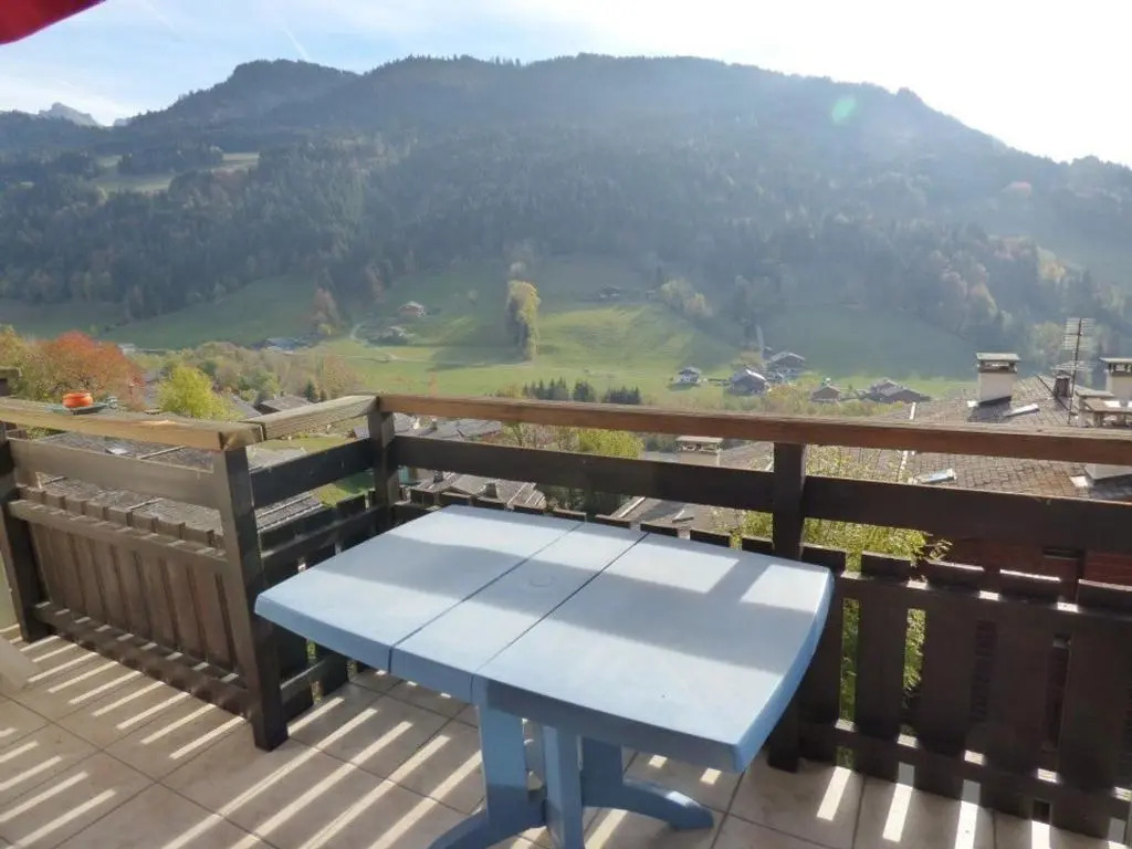 Studio Le Grand-Bornand, 2 pièces, 5 personnes - FR-1-458-125