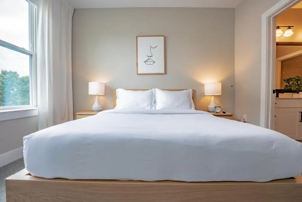 Luxurious 2 BR 2BR Downtown Apartment
