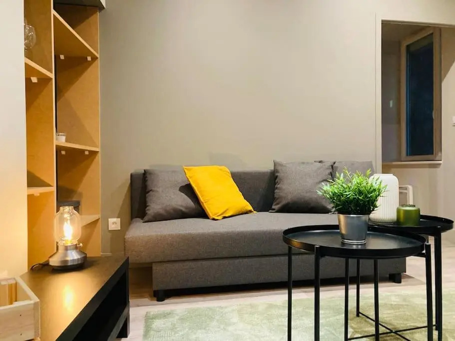 Vienne: appartement au cœur du centre historique