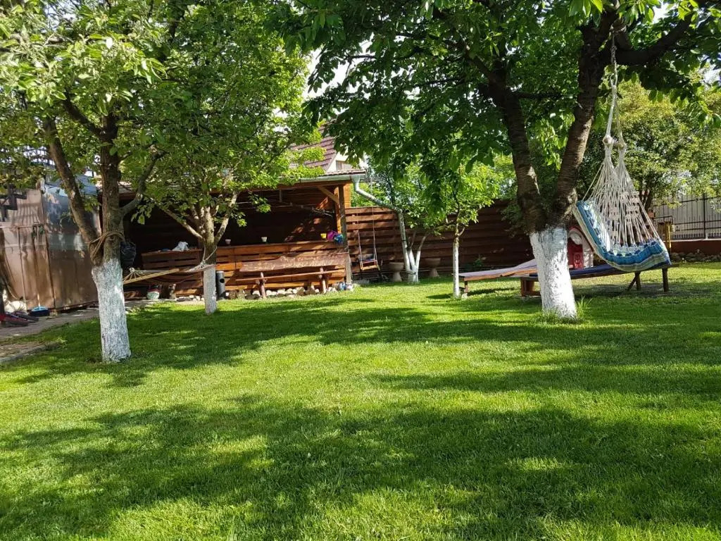 Sport Hostel Cluj