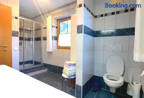 Appartement Fritzenwallner
