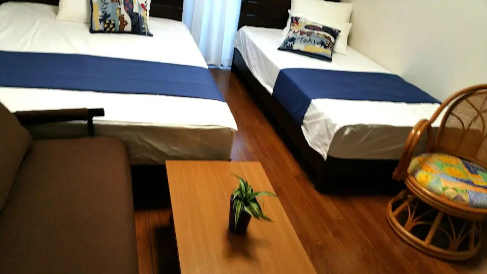 Shinjuku Shin Okubo house