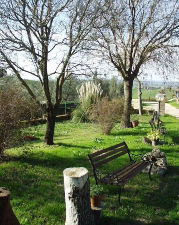Agriturismo Marruchetone Vecchio