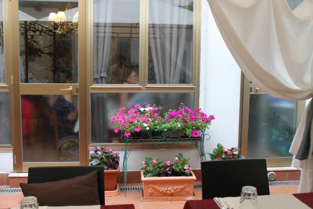Hotel Dalmazia