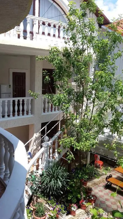 Olga Guest House