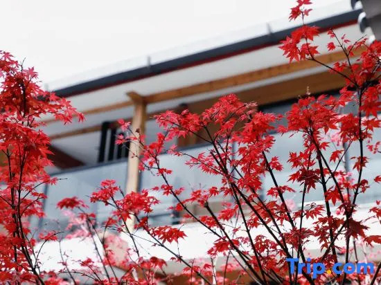 Qilan -Habitat I Man Time Qingshe Courtyard (Old Town of Lijiang North Gate Wuyi Street)