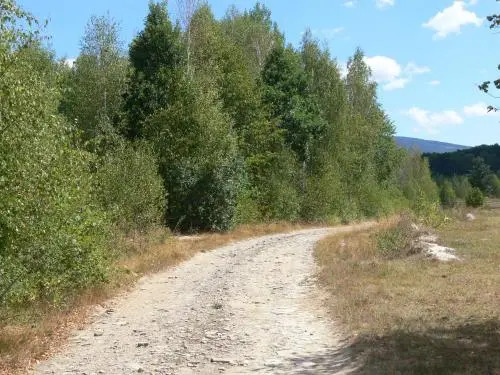 Gyulak Guesthouse