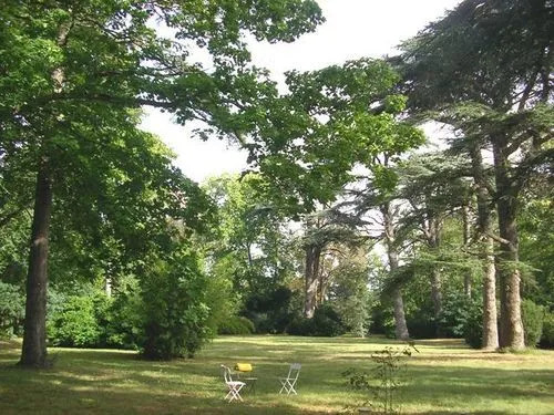 Chateau De Saint Michel De Lanes
