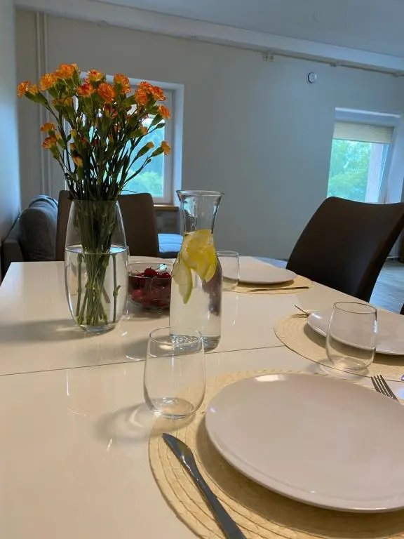 V15 Apartment