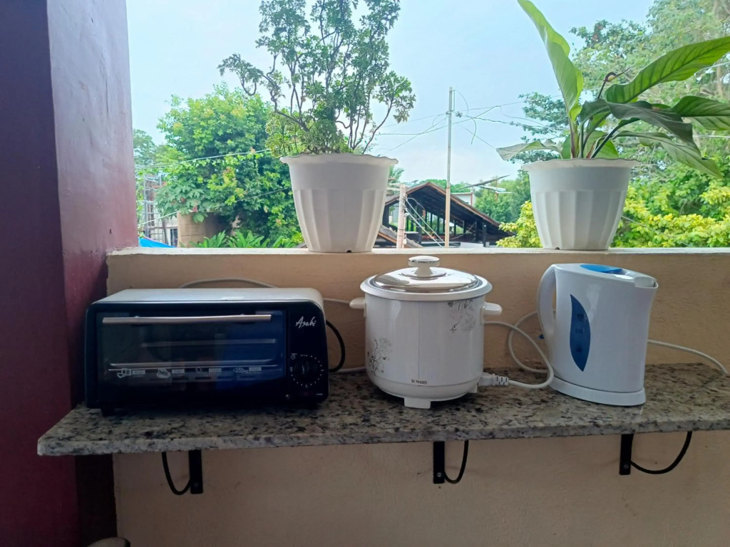 Peace Lily Studio Apartments Panglao