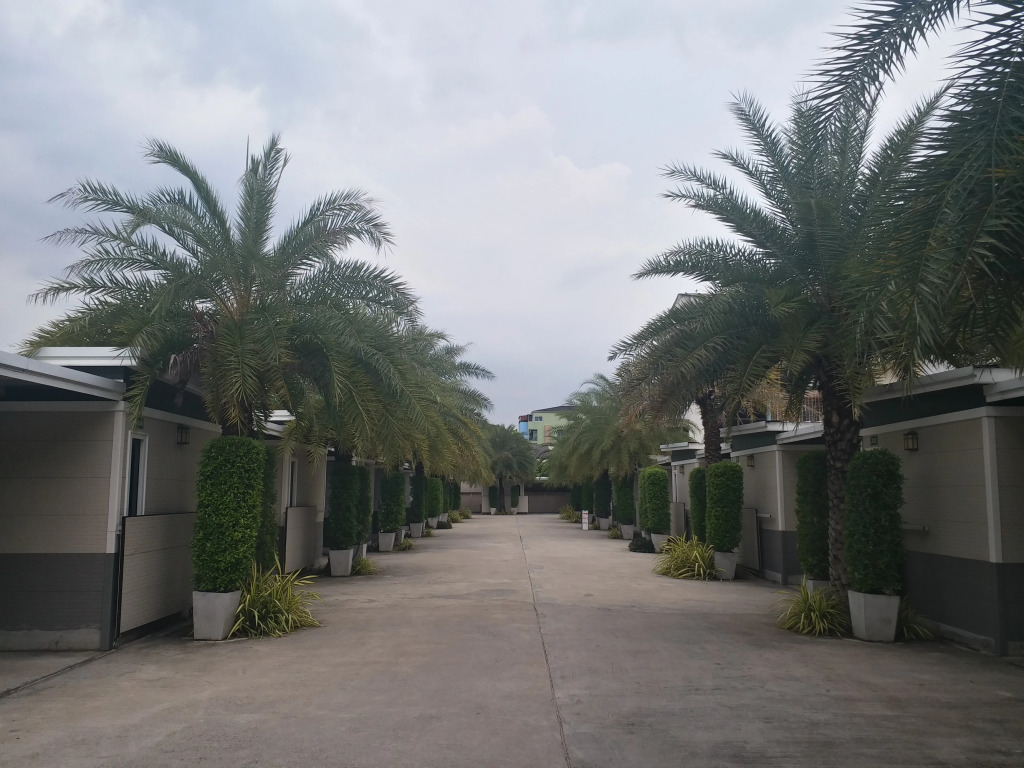 The 9 Resort