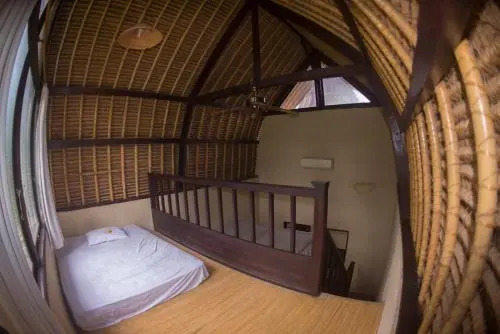 Pacha Hostel