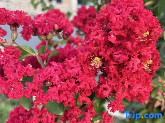 Shanjian Ge Farmstay (Nanbei Lake)
