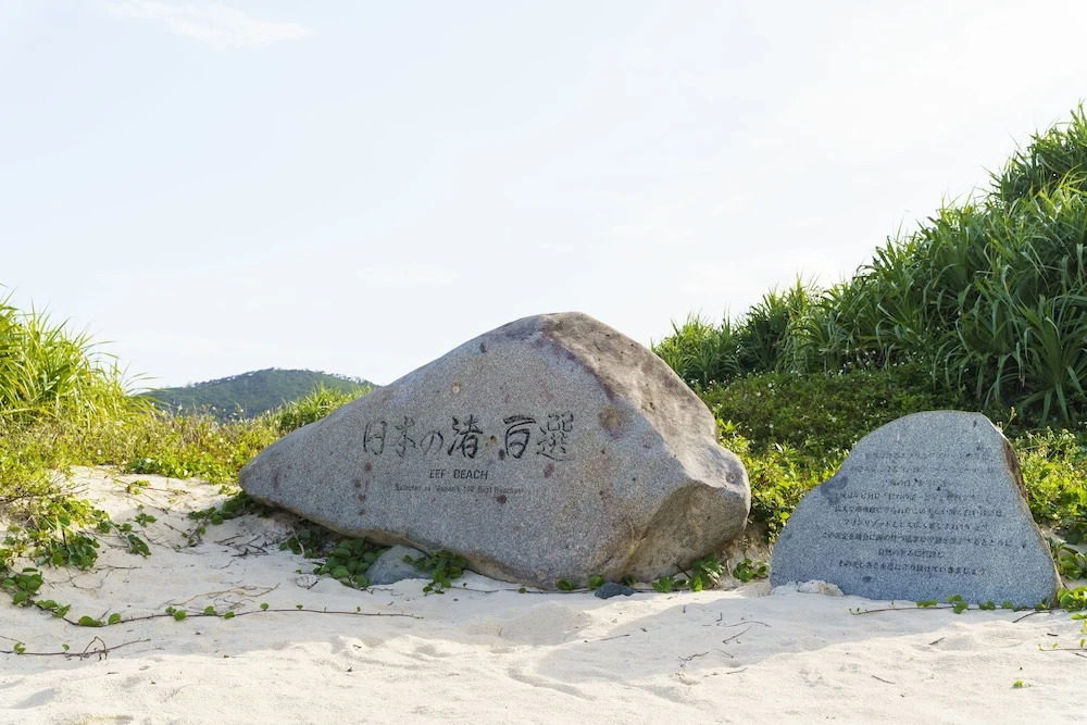 Bears Stay Kumejima Eef Beach