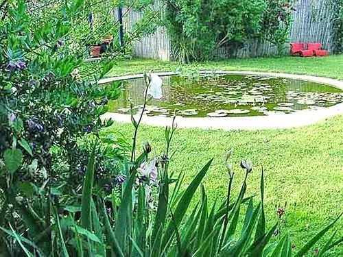 La Gallina Felice B&B