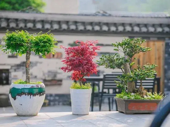Xiangshan Yucun Pusu Homestay