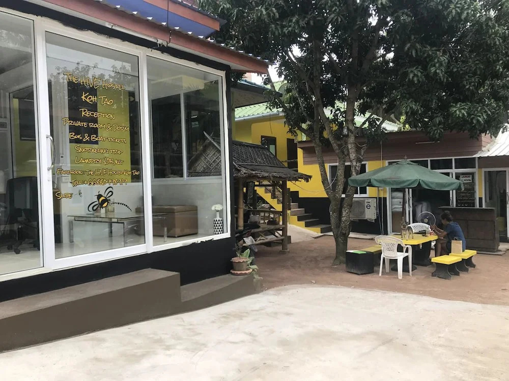 The Hive Hostel Koh Tao