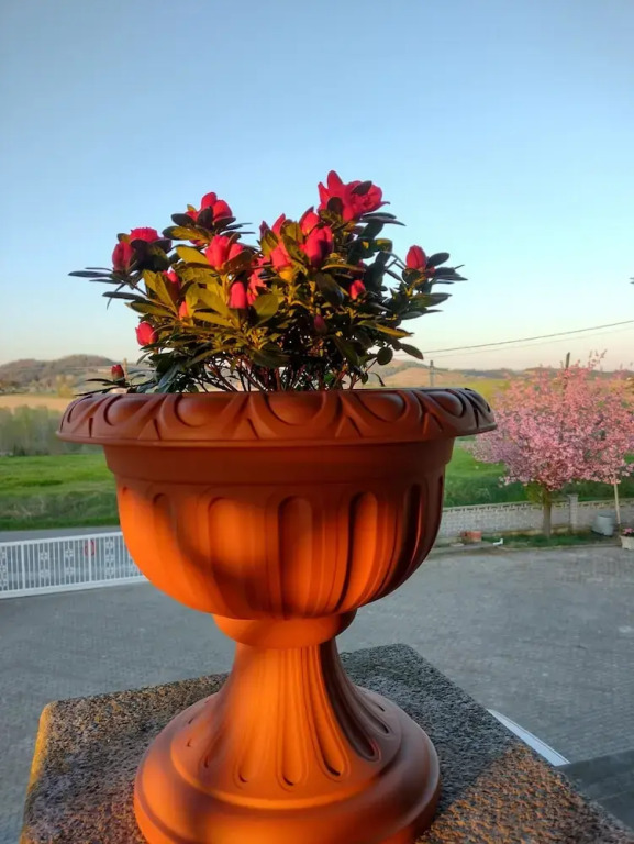 Villa with Pool Monferrato BOTTO LIVING