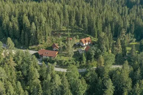Guesthouse Planinski Dom Majerhold