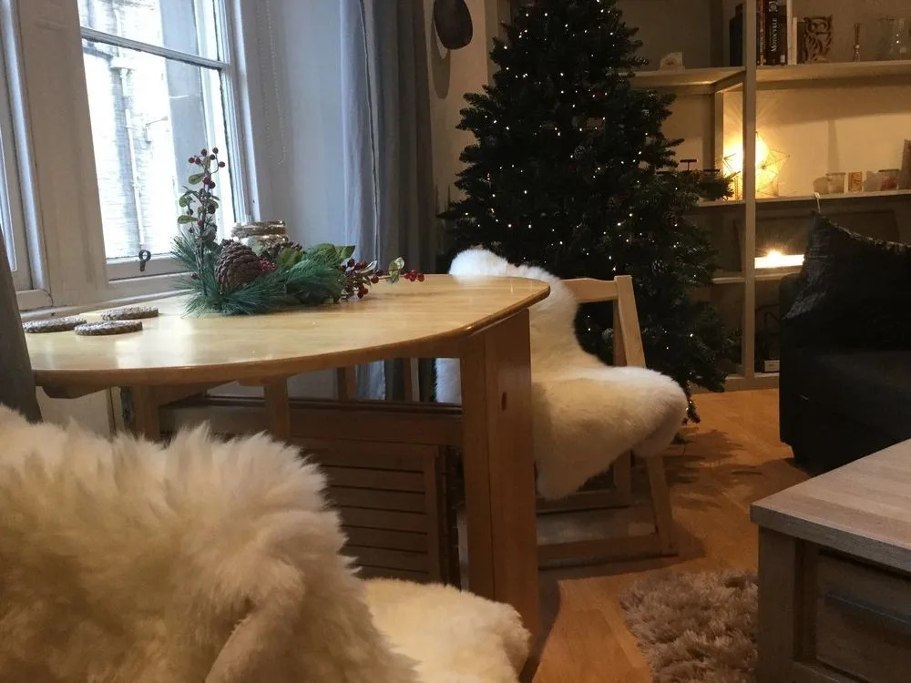 Edinburgh Old Town Apartment