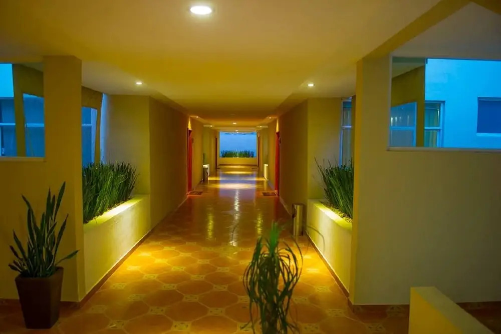 Casa Donceles apt. 7