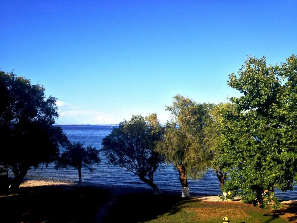 Petalidi
