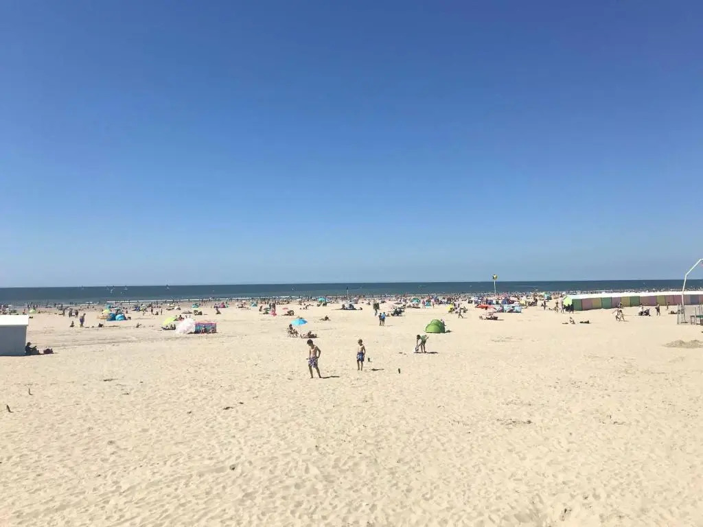 LE CÉRÈS 1- Proche plage, Lumineux&Respirant Cosy Appt à Berck
