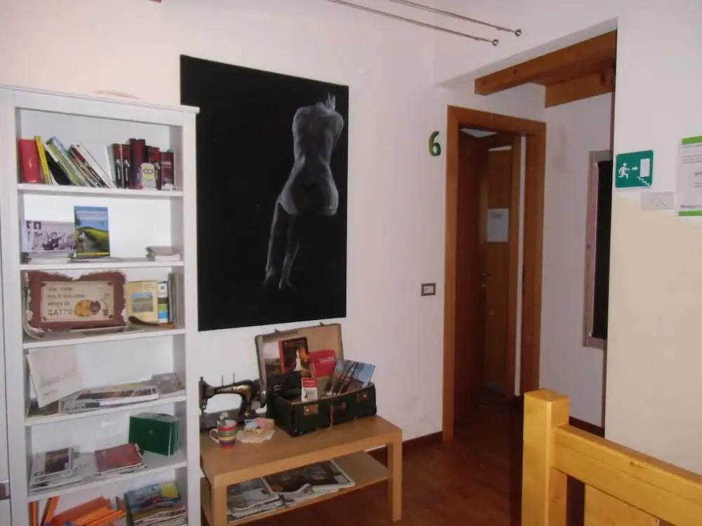 Agriturismo il Podere Vedelago con San Bernardo, Alpaca e una Pentola di cose da scoprire