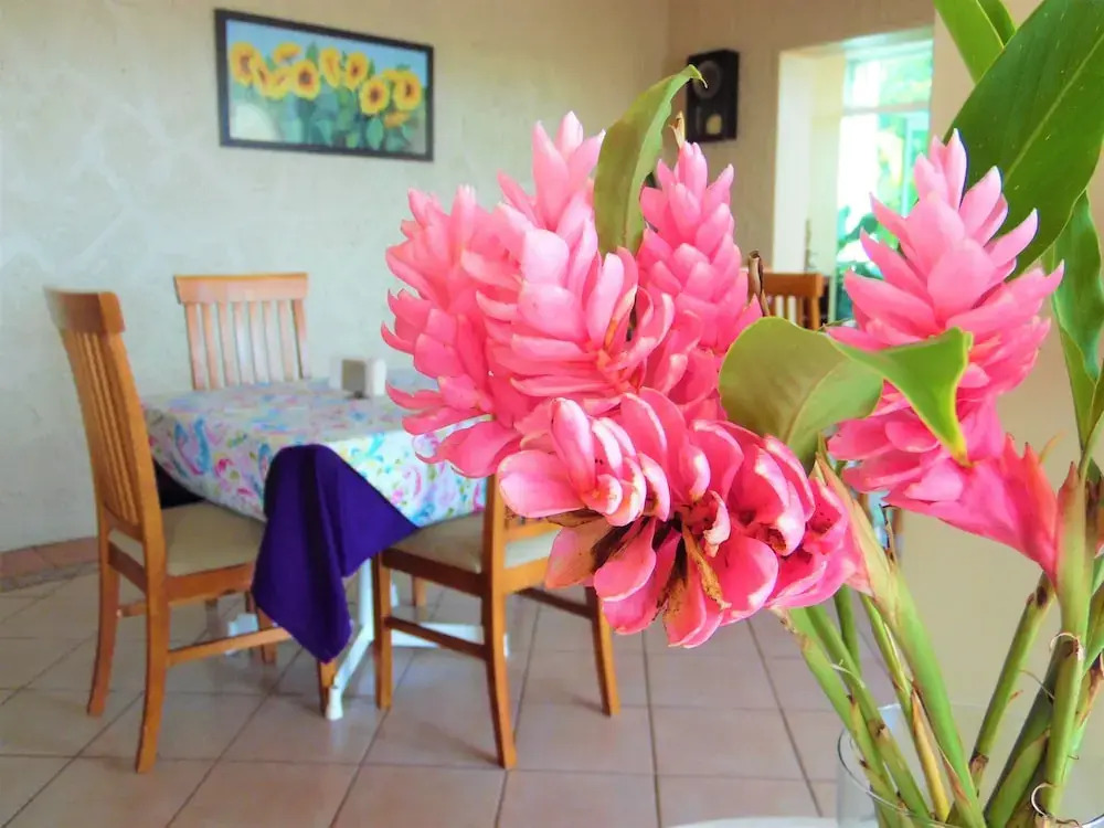 Hotel Santa Luisa Finca Boutique