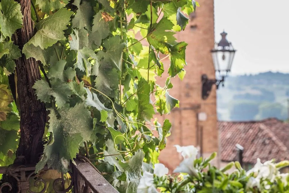 B&b Antico Tralcio