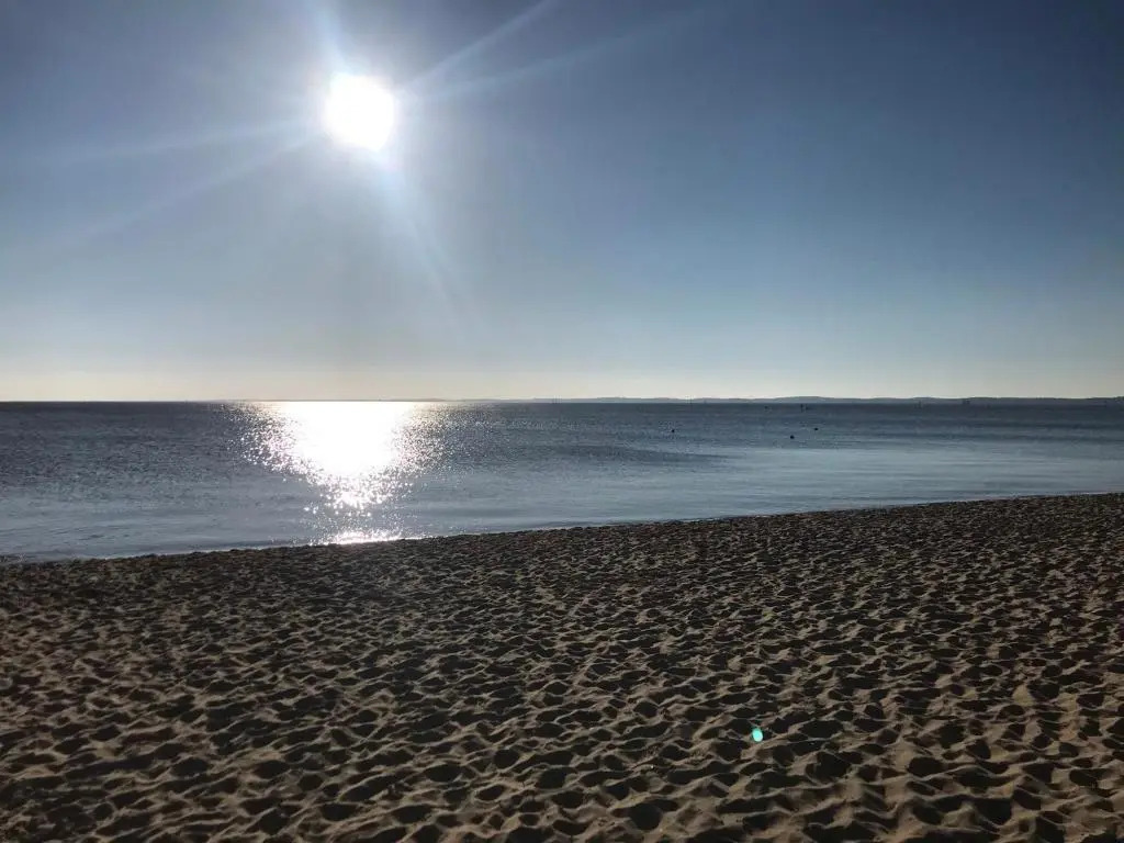 Charmant appartement T2 sur le Bassin D'Arcachon