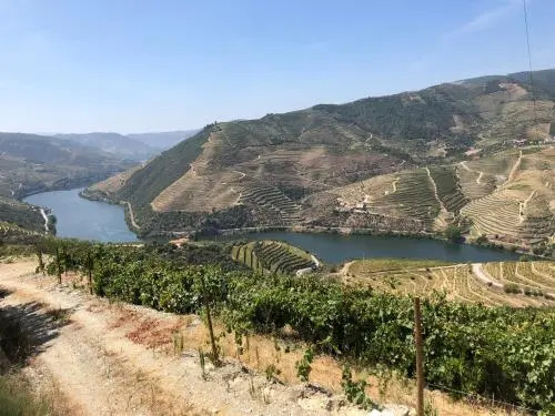 Quinta da Casa Cimeira, Guest House, Wines & Food