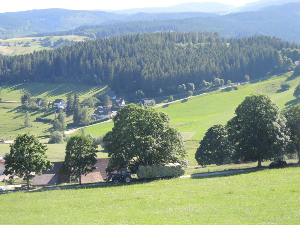 Ferienwohnung Saig
