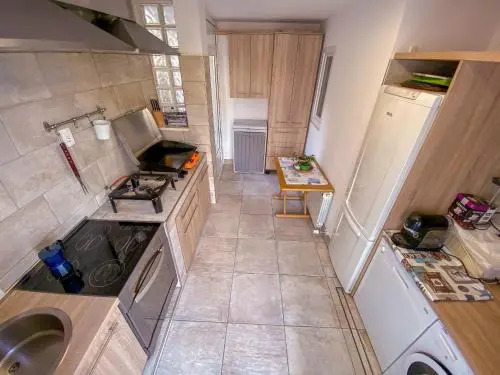 Apartmaji Viler