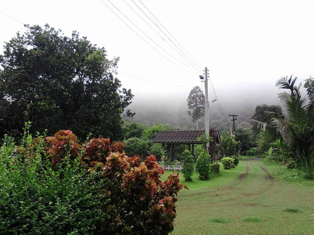 Baan Pennee