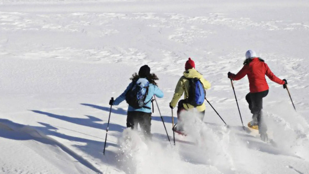 Hotel Shackleton Mountain Resort