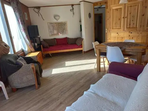 Apartment Appartement deux pieces sud , 500 metres des pistes.