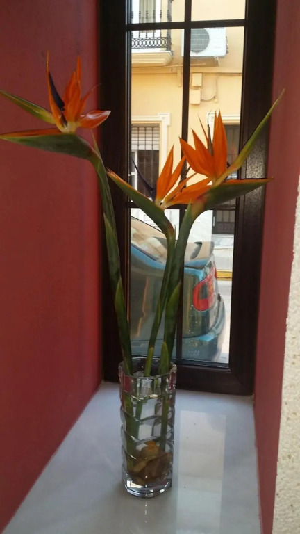 Hostal Boutique El Patio Lepe