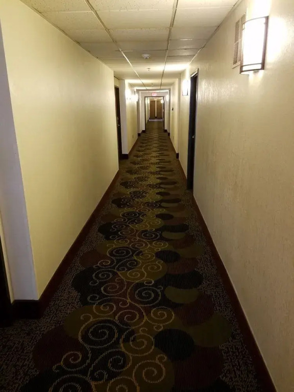 Super 8 Motel -Auburn