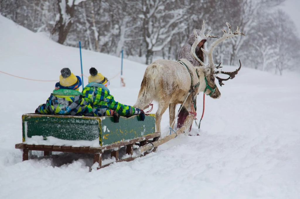 The Green Leaf Niseko Village, Tapestry Collection by Hilton
