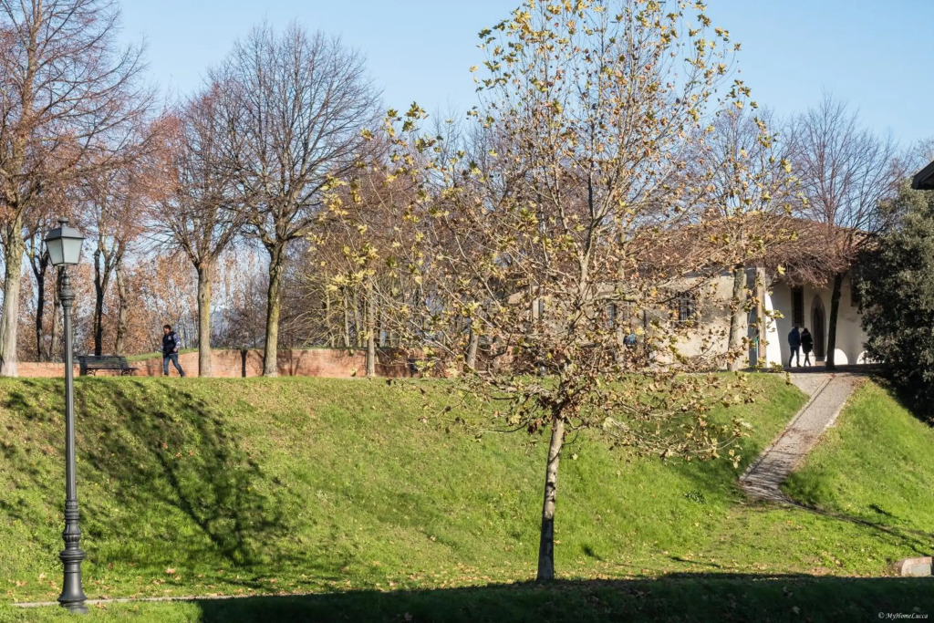 TORNESE with PRIVATE PARKING and TERRACE